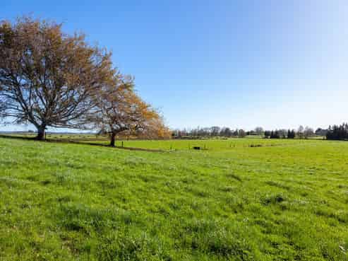 1/69 Douch Road, Ohaupo