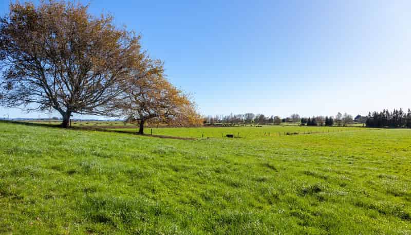 1/69 Douch Road, Ohaupo