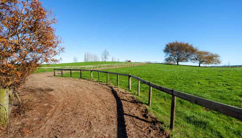 1/69 Douch Road, Ohaupo