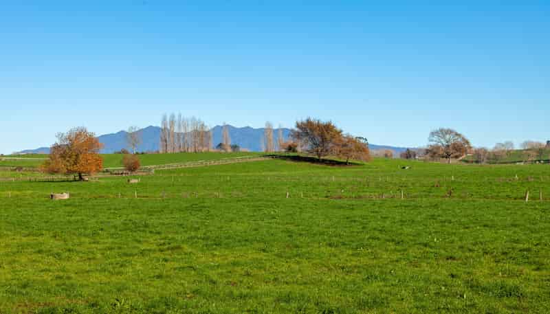 1/69 Douch Road, Ohaupo