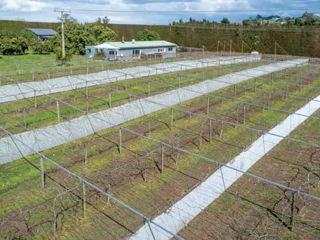 154b Wairoa Road, Te Puna