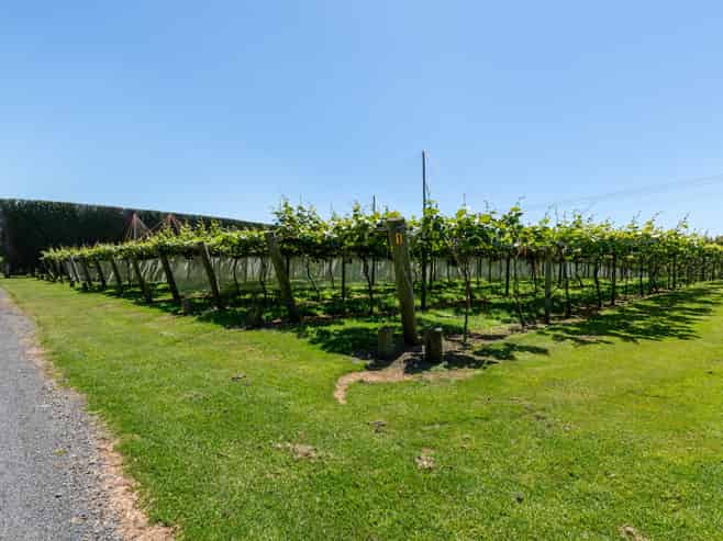 154B Wairoa Road, Te Puna