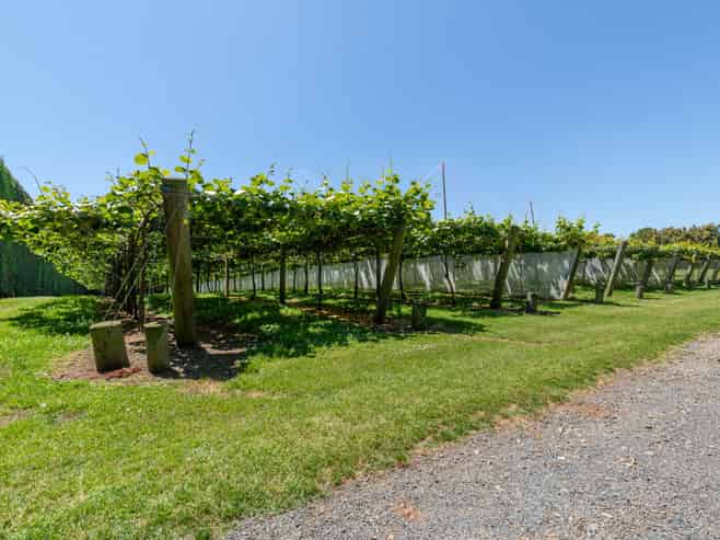 154B Wairoa Road, Te Puna