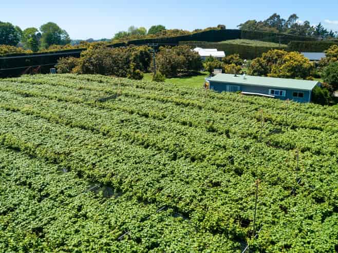 154B Wairoa Road, Te Puna