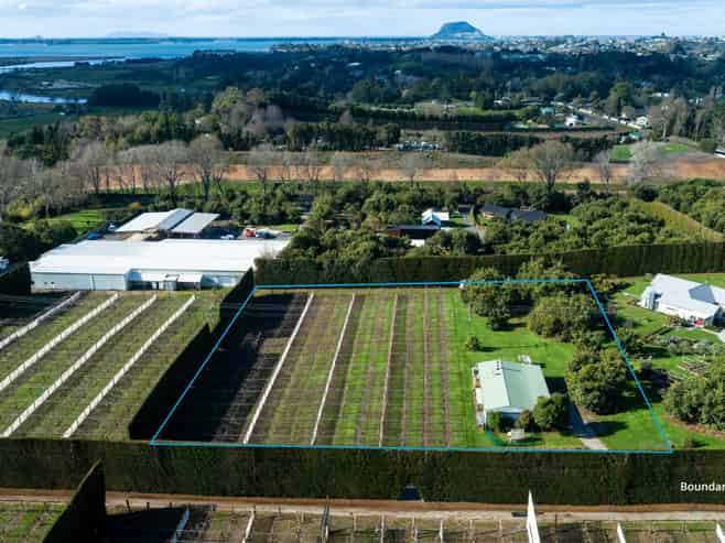 154b Wairoa Road, Te Puna
