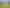 Auckland - Address withheld