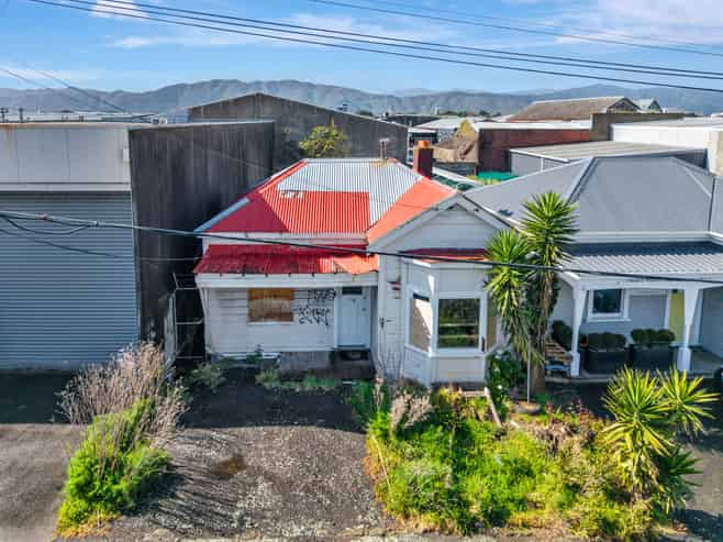 Petone Development Potential!