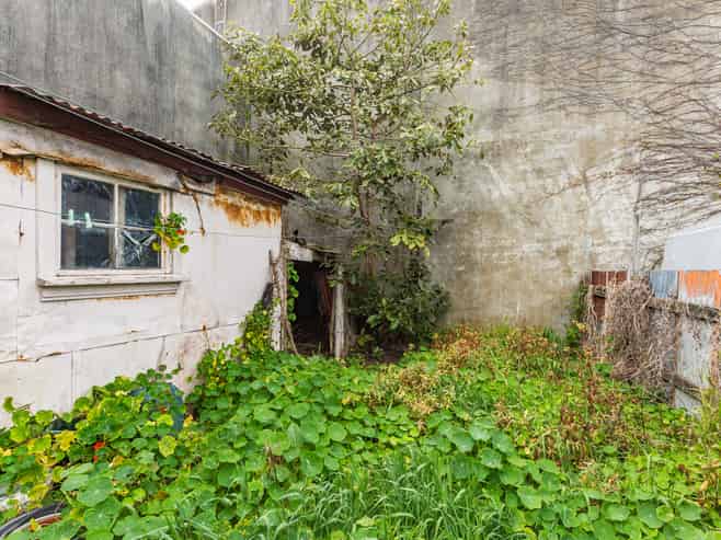 Petone Development Potential!