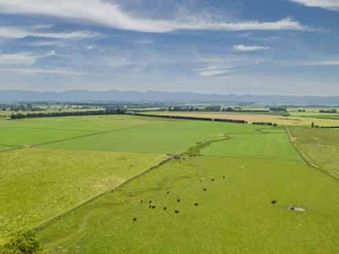 337 Ongaonga Waipukurau Road, Ongaonga