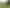 Waikato - Address withheld
