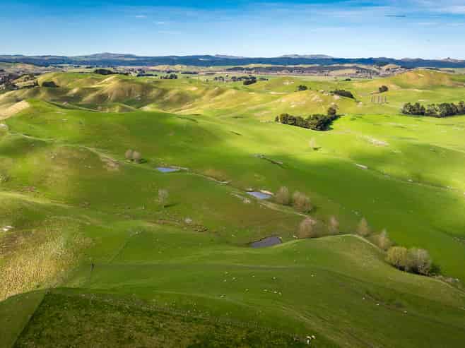 226 Ongaonga Road, Waipawa