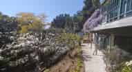 Open gallery