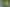 Waikato - Address withheld