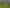 237B Busby Road, Katikati