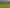 237B Busby Road, Katikati