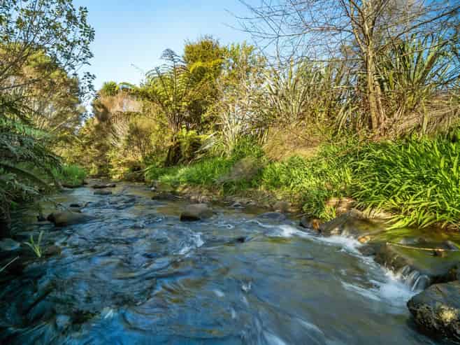 237B Busby Road, Katikati
