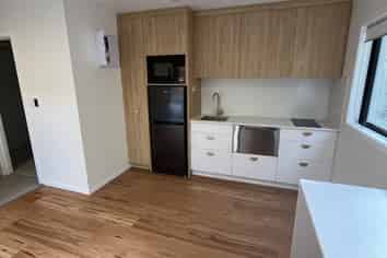 Apartment/57 Manor Place, Dunedin Central