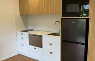 Apartment/57 Manor Place, Dunedin Central