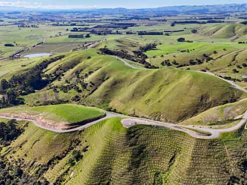  Lake Ferry Road, Martinborough