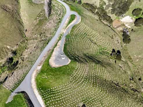  Lake Ferry Road, Martinborough