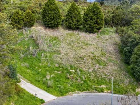 16 Webster Place, Picton