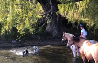 745 Ardgour Road, Tarras