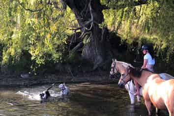 745 Ardgour Road, Tarras