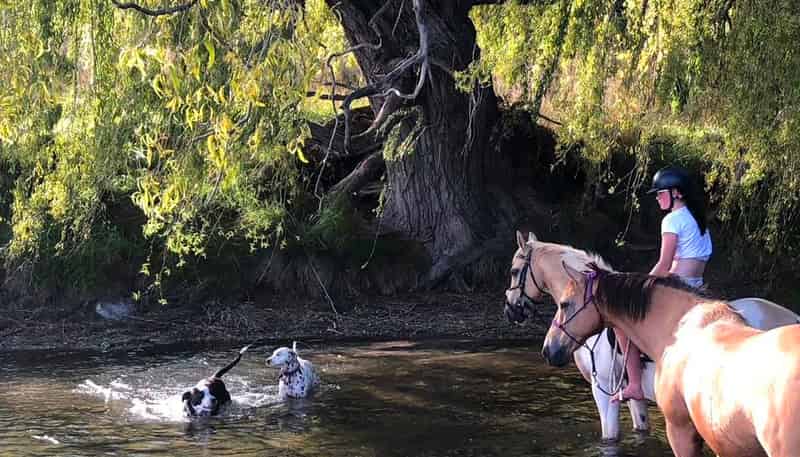 745 Ardgour Road, Tarras