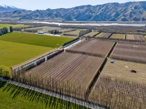 5221 Kurow Duntroon Road, Duntroon
