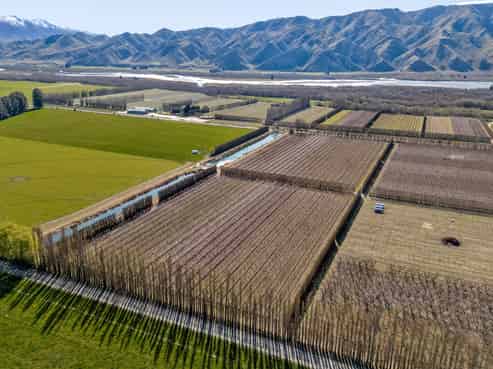 5221 Kurow Duntroon Road, Duntroon