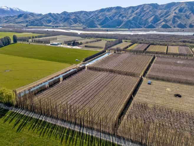 5221 Kurow Duntroon Road, Duntroon