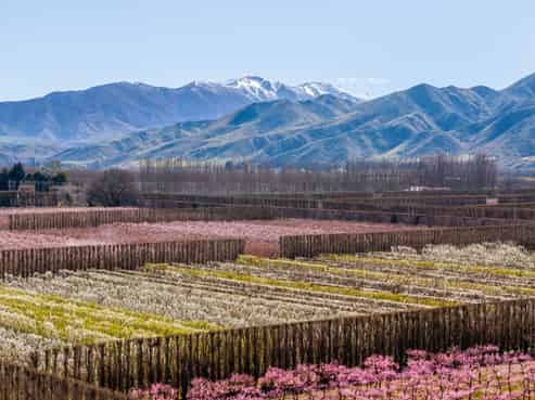 5221 Kurow Duntroon Road, Duntroon