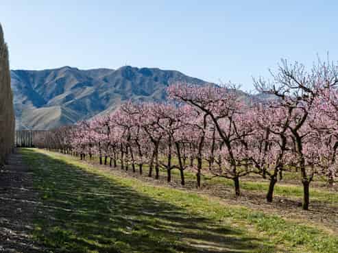 5221 Kurow Duntroon Road, Duntroon