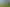 Auckland - Address withheld