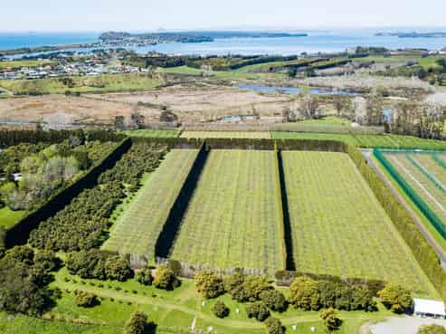 26 Capamagian Drive, Athenree