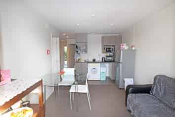 117 Carroll Street, Dunedin Central