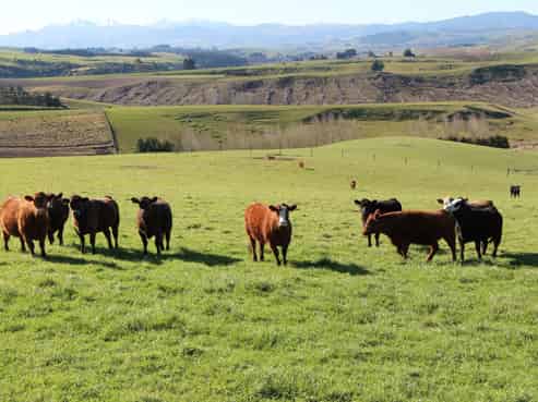 17 Timewell Road, Hazelburn