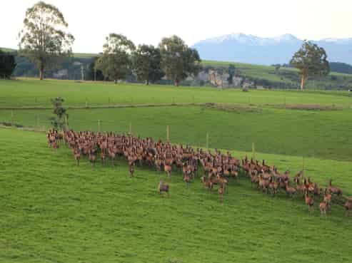 17 Timewell Road, Hazelburn