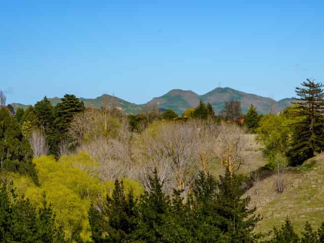 224 Durham Drive, Havelock North