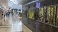 Open gallery