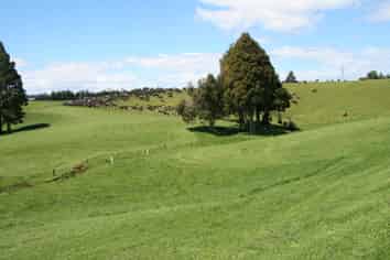 701 Richmond Road, Lepperton