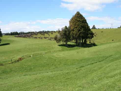 701 Richmond Road, Lepperton