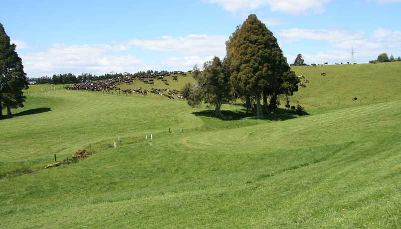 701 Richmond Road, Lepperton