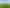  Morrinsville-Tahuna Road, Morrinsville