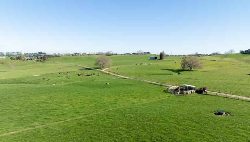  Morrinsville-Tahuna Road, Morrinsville