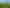  Morrinsville-Tahuna Road, Morrinsville