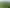  Morrinsville-Tahuna Road, Morrinsville