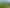  Morrinsville-Tahuna Road, Morrinsville