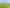 3 Clover Lane, Kamo