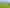 3 Clover Lane, Kamo